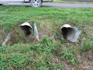 Property photo 16 - 76.8 +/- Acres Mostly Tillable - Land Auction